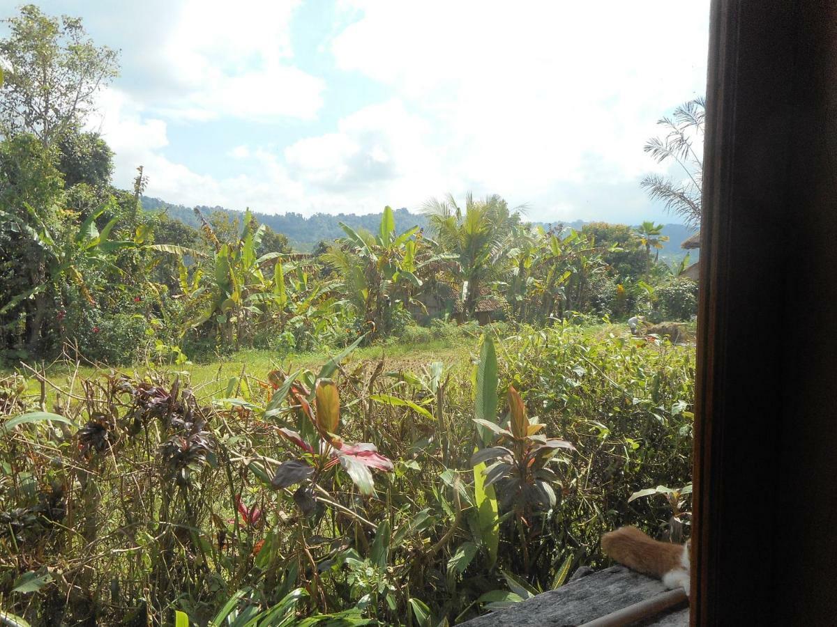 Bed and Breakfast The Bukit Artha Sidemen  Exterior foto