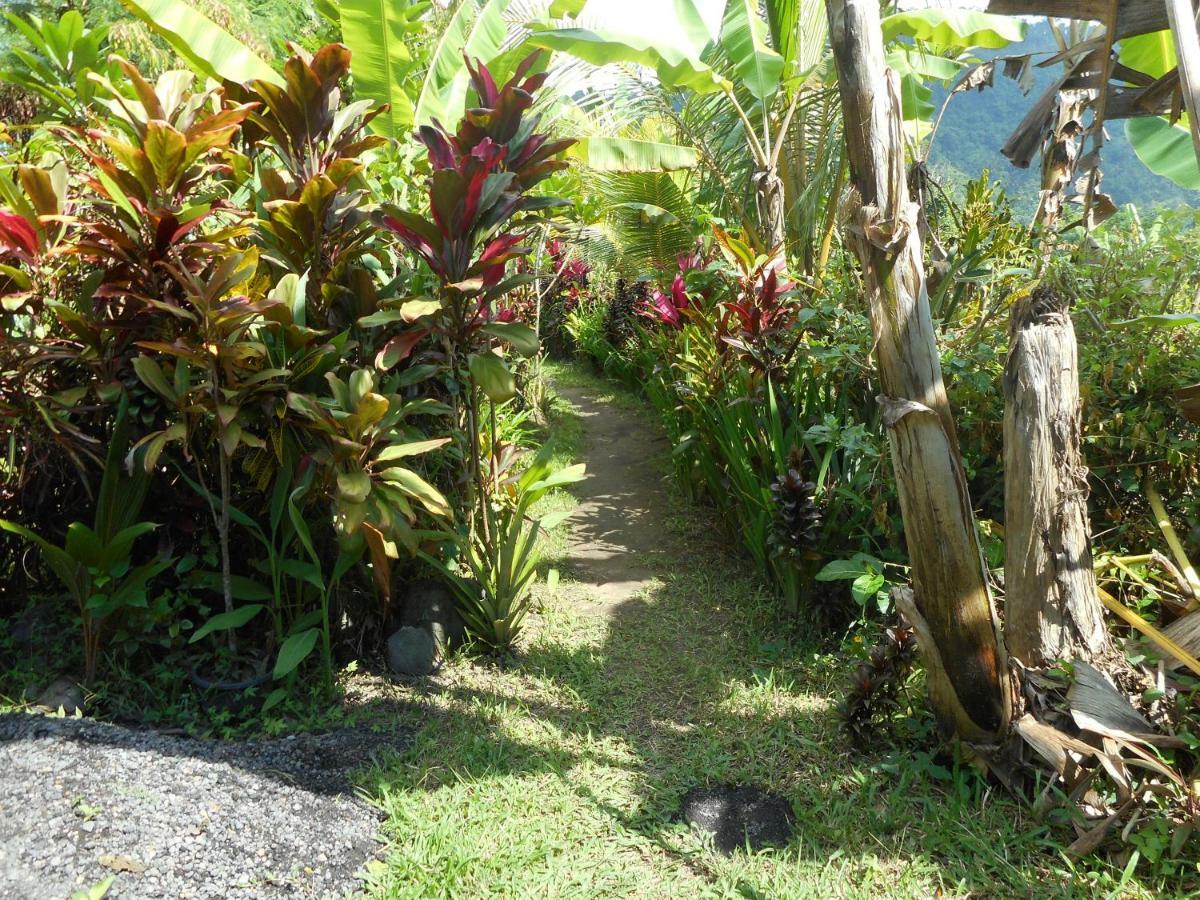 Bed and Breakfast The Bukit Artha Sidemen  Exterior foto