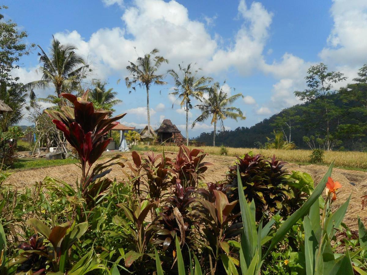 Bed and Breakfast The Bukit Artha Sidemen  Exterior foto